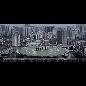 人马猪狗驴高清视频
