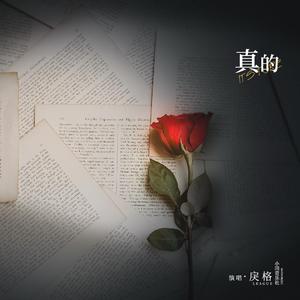 人马猪狗驴高清视频
