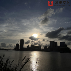 人马猪狗驴高清视频
